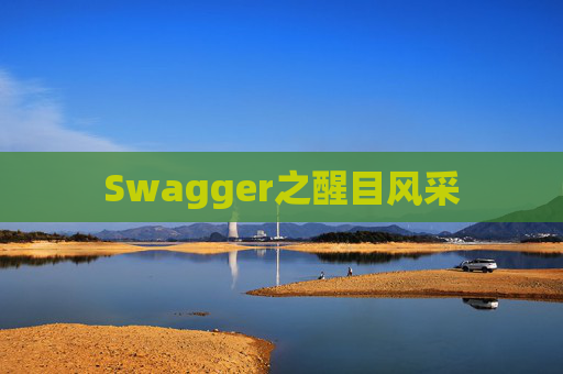 Swagger之醒目风采